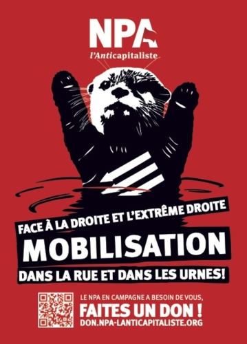 marmotte antifa.jpg